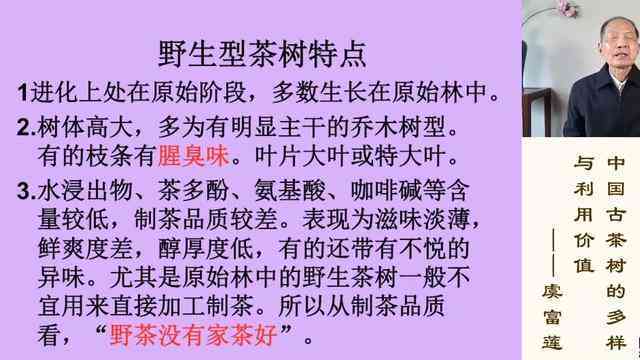 揭秘普洱茶市场的利润空间，一年内投资茶叶行业能否赚到钱？