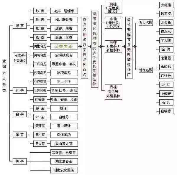 普洱茶四大排名一览表，全方位解析各大的特色与优劣