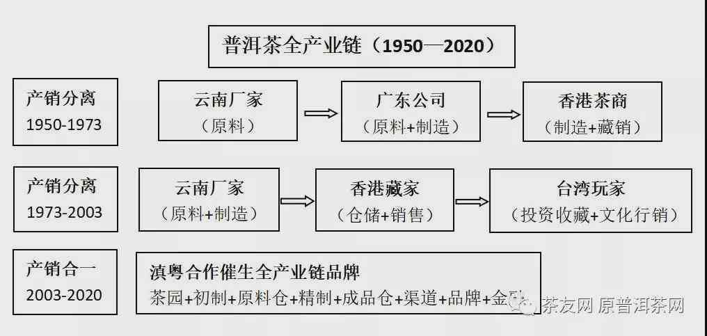 普洱茶四大厂全方位解析：品质、历、文化及市场动态