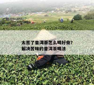 如何降低普洱茶的苦味儿