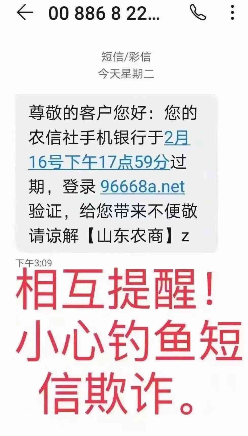 信用社还款方案：抵押物品是否为必要选项？了解详细信息