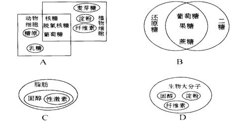 青海玉跑：水质、来源、功效及用途全面解析，看这一篇就够了！