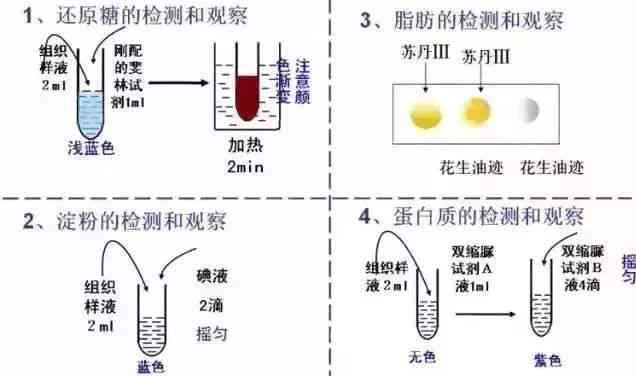 青海玉跑：水质、来源、功效及用途全面解析，看这一篇就够了！