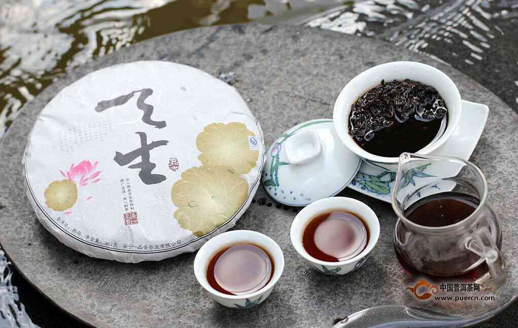 四品茗：普洱茶在不同节的饮用方法与技巧