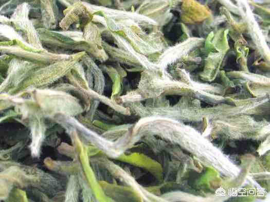 普洱茶新茶之最：最特别的茶类及其独特特点