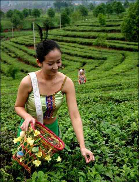 普洱茶颜色的变异：黑色正常吗？了解普洱茶色泽背后的原因和品质影响