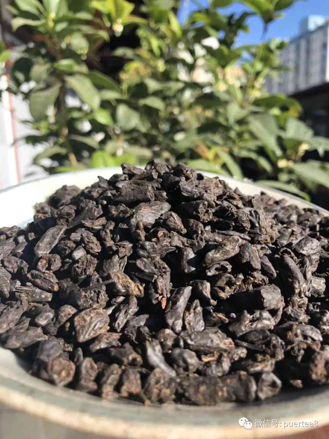 熟普洱茶带糯米的是熟茶