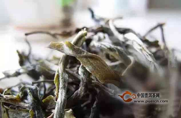 揭秘普洱茶叶中的白霜现象：什么原因导致茶叶发白？