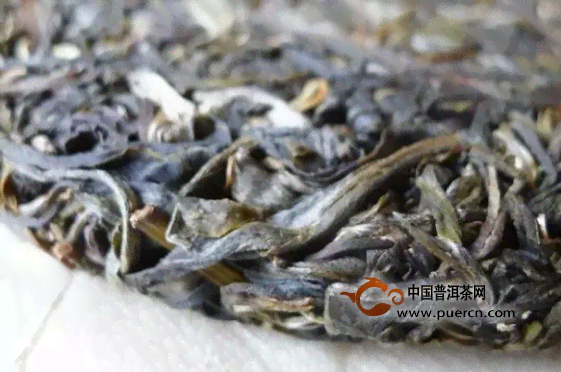 普洱茶各个产区特色介绍