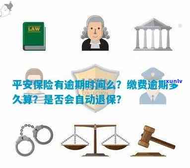 平安普逾期还款保险代偿期限：具体天数及计算方式全解析