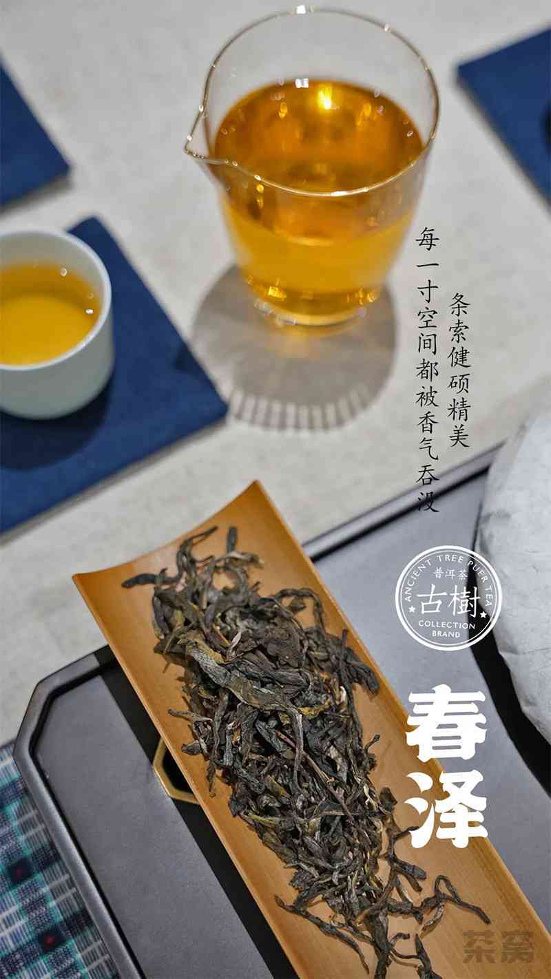 地界普洱茶357克生茶的价格