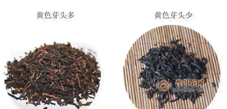 福袍小青柑普洱茶多少钱