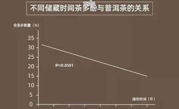 青普洱茶适量饮用指南：饮用量与频率分析