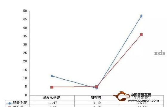 青普洱茶适量饮用指南：饮用量与频率分析