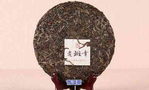 揭秘十大昂贵普洱茶品种：你心中的天价茶是什么？