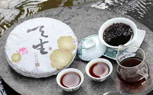 从普洱茶饼到散茶：了解普洱茶的转化过程及其影响因素