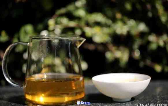 普洱茶新茶与旧茶：哪个更好喝？解析两者特点及选择建议