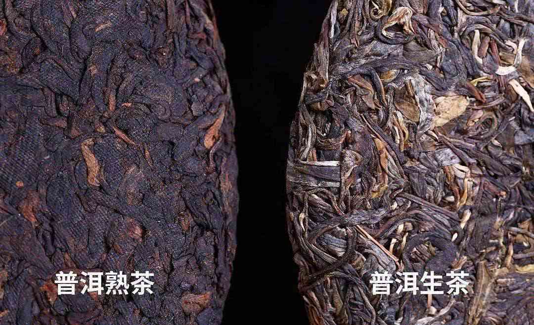 普洱茶湿度多少会导致发霉？如何保存普洱茶以避免霉菌滋生？