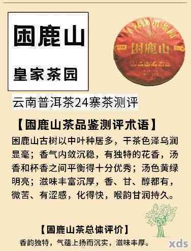 困鹿山普洱茶：特点介绍与品鉴攻略