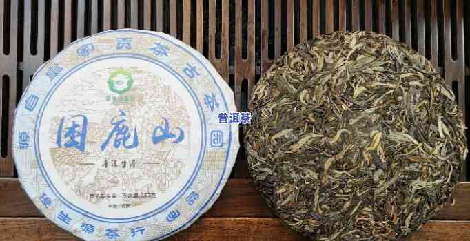 困鹿山普洱茶：特点介绍与品鉴攻略