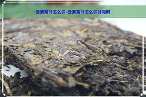 云顶古树普洱茶：好喝吗？怎么样？