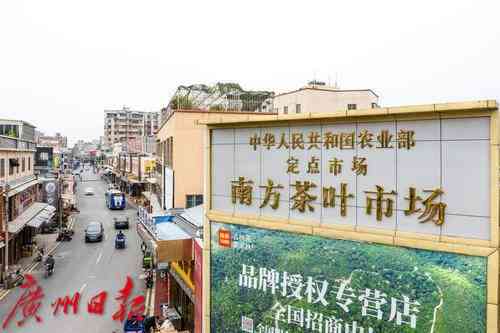 广州芳村茶叶批发新天地：探索普洱茶的价格与品质之道