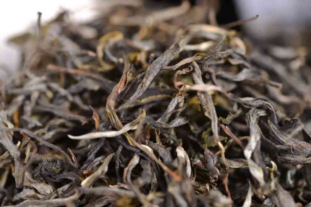 糯米香普洱茶小茶饼：品种、制作工艺、口感、功效及冲泡方法全面解析