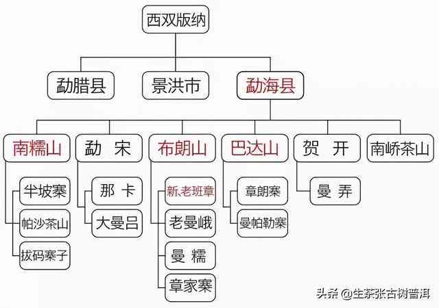 普洱茶各大茶区特点概述：从土、气候到品种，探究普洱茶各产地特色。