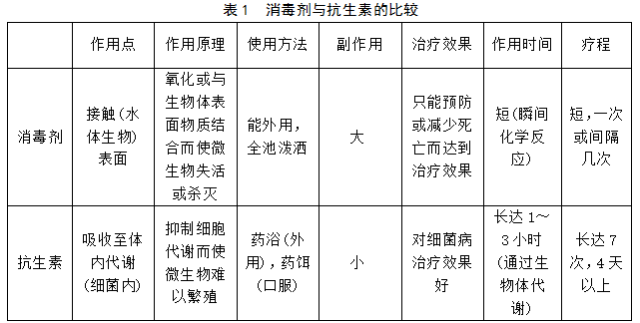 全面了解色大益7542:产品特点、使用方法与注意事项