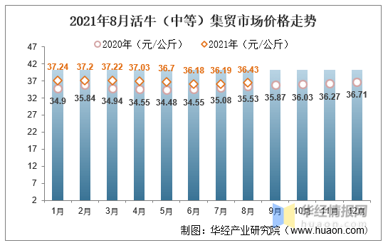 2023年中茶熟普洱茶市场价格分析与趋势研究