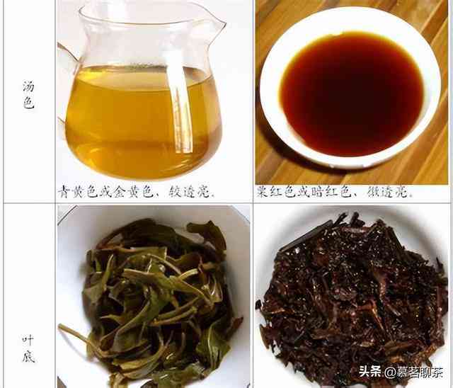 普洱茶面黄色颗粒原因及类型