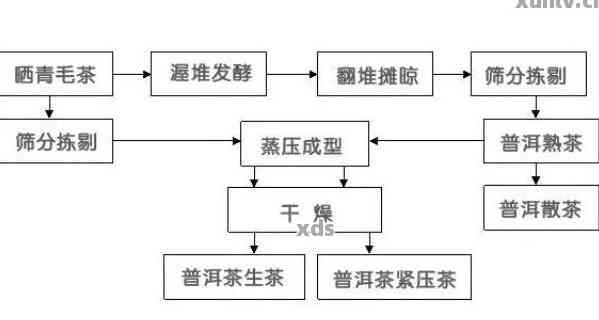 探究普洱茶色泽的形成机制及其品质影响因素