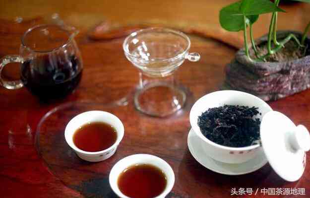 1988年猫普洱茶骗局：熟茶罐装、铁盒真伪辨析