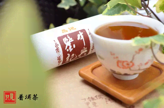 普洱茶品种大全：品味浓香气的各类普洱茶推荐及特点解析