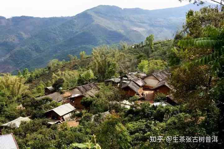 临沧地区最知名的普洱茶山头一览