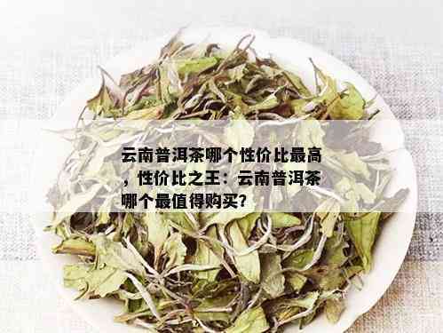 云南普洱茶排行榜：哪个的普洱茶性价比更高？京东价格多少钱？