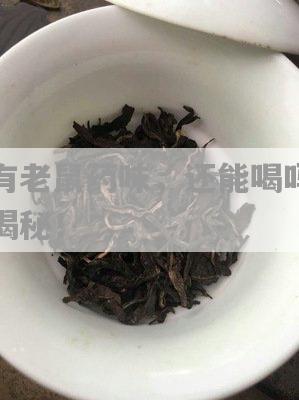 探究普洱茶中老鼠屎成分对茶叶价格的影响