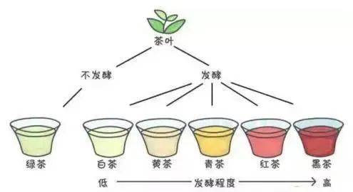 宝红印记茶：品质、口感、泡法与功效全方位解析，让你了解这款茶的全部信息