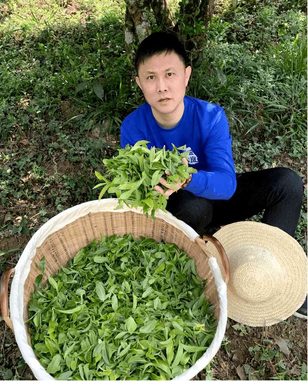 普洱茶喝不完怎么保存好呢？没喝完的普洱茶应该如何妥善保管？