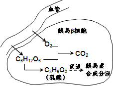 探究普洱茶中霉菌与细菌的含量及其影响：一项全面的检测分析