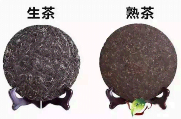 普洱茶的冲泡方法：是泡还是煮？生茶与熟茶有何区别？