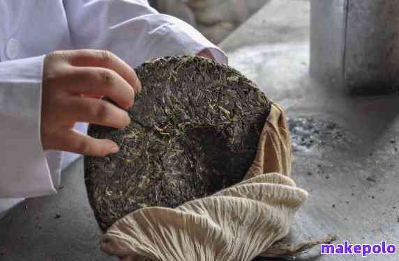 掌握普洱茶饼烘干的度与时间：提升干茶品质的新技巧