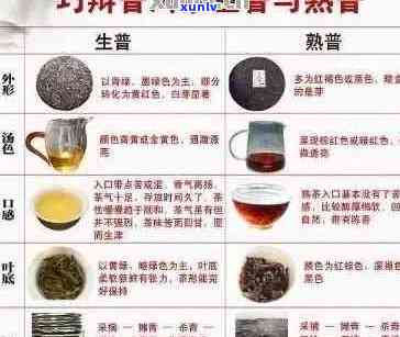 班章木普洱茶2010年问世：一款全面了解的茶叶详细介绍与品鉴指南