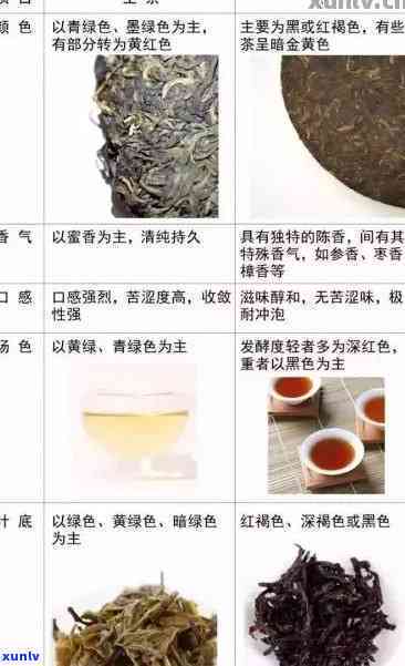 2006年普洱茶：品质、产地、泡法、口感、陈化等方面的全方位解析与品鉴指南