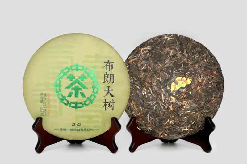 2022布朗大树普洱茶