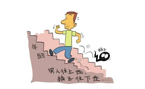 普洱茶的益处：男性健、心血管保健与生活质量全面提升