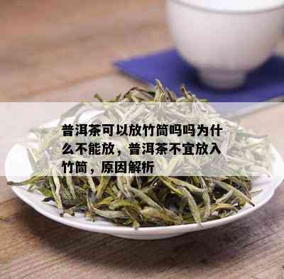 普洱茶存与罐子选择：如何为敲开的普洱茶找到容器以保持其口感