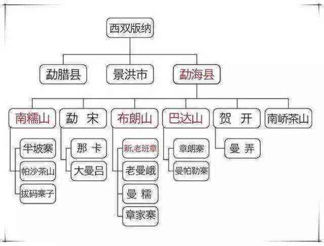 六大茶山详解：普洱茶的诞生地及其特色山头组合