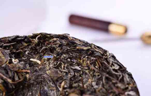 探究普洱茶级别：一品普洱与别的茶叶有何不同？