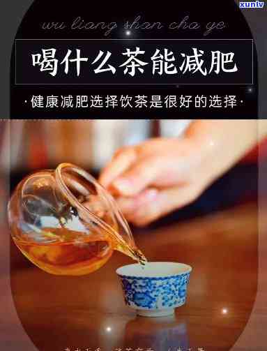 娃哈哈普洱茶饮料：口感醇厚、降脂减肥的全面解答